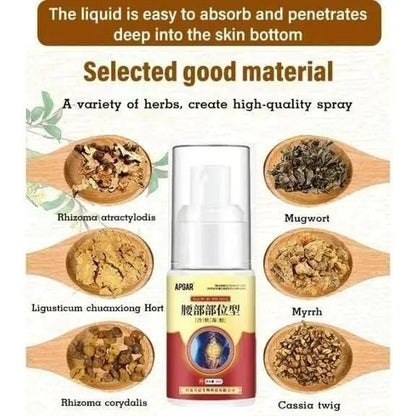 Ayurveda Back Relief Spray